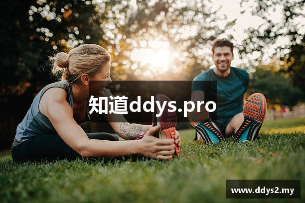 知道ddys.pro